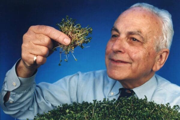 Dr.Paul Talalay the Director of the Laboratory for Molecular Pharmacology at the Johns Hopkins School of Medicine looking at a sprig of broccoli sprouts.